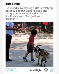 Picture of boy at zoo.