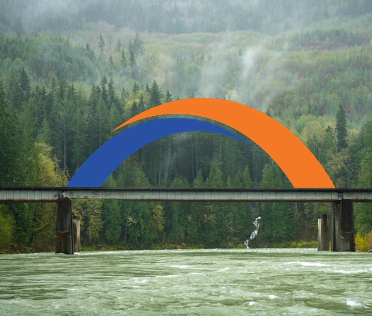 Bridge in the forest